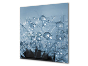 Gehärtete Glasrückwand – Glasrückwand mit aufgedrucktem kunstvollen Design BS04 Serie Löwenzahn und Blumen:  Dandelion Drops 1