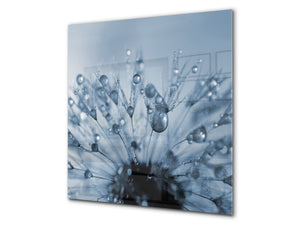 Toughened glass backsplash BS 04 Dandelion and flowers series: Dandelion Drops 2