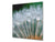 Gehärtete Glasrückwand – Glasrückwand mit aufgedrucktem kunstvollen Design BS04 Serie Löwenzahn und Blumen:  Dandelion Drops 3