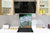 Paraschizzi vetro rinforzato – Paraspruzzi artistico stampato su vetro BS04 Serie soffioni e fiori  : Gocce di tarassaco 3