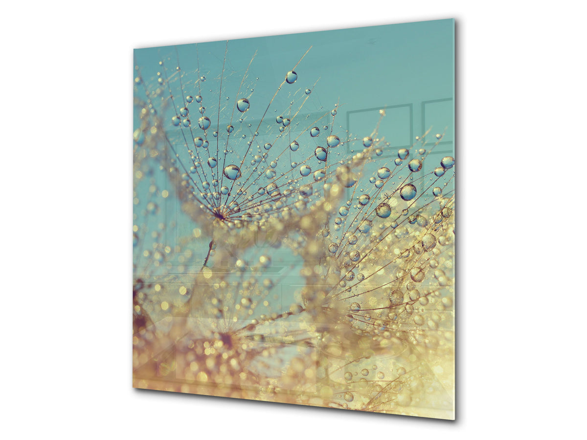 Toughened glass backsplash BS 04 Dandelion and flowers series: Dandelion Drops 4