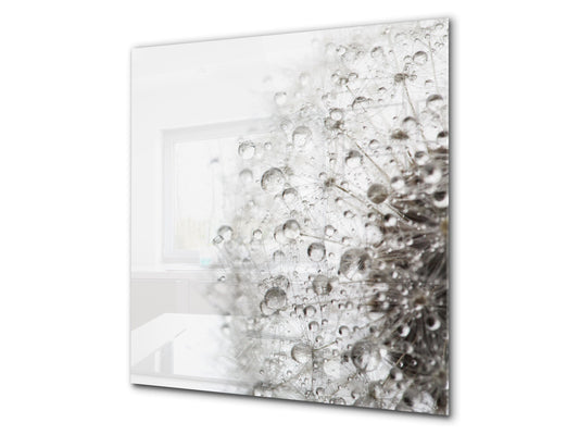 Toughened glass backsplash BS 04 Dandelion and flowers series: Dandelion Drops 5