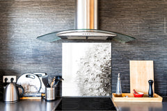 Toughened glass backsplash BS 04 Dandelion and flowers series: Dandelion Drops 5