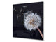 Paraschizzi vetro rinforzato – Paraspruzzi artistico stampato su vetro BS04 Serie soffioni e fiori  : Dente di leone nero
