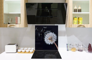 Paraschizzi vetro rinforzato – Paraspruzzi artistico stampato su vetro BS04 Serie soffioni e fiori  : Dente di leone nero