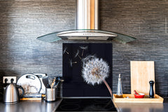 Toughened glass backsplash BS 04 Dandelion and flowers series: Black Dandelion