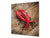Elegante Hartglasrückwand – Glasrückwand für Küche – Glasaufkantung BS10 Serie Pfeffer:  Paprika Peper 2