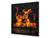 Aufgedrucktes Hartglas-Wandkunstwerk – Glasküchenrückwand BS14 Serie Feuer:  Fire Black Background 1