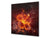 Glass kitchen splashback BS14 Fire Series: Fiery Flower 2