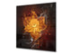 Glass kitchen splashback BS14 Fire Series: Fiery Flower 3