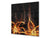 Aufgedrucktes Hartglas-Wandkunstwerk – Glasküchenrückwand BS14 Serie Feuer:  Fiery Flower 4