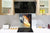 Paraschizzi in vetro temperato stampato – Paraspruzzi da cucina in vetro BS14 Serie fuoco: Fire Knife Kitchen