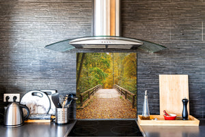 Magnifico paraschizzi in vetro stampato – Pannello in vetro temperato da cucina BS24 Serie ponti:  Forest Park Bridge