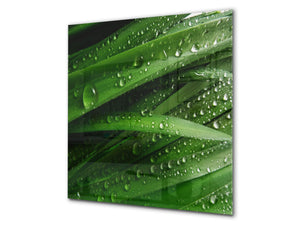 Fond en verre renforcé – Antiprojections en verre – Antiéclaboussures cuisine e salle de bain BS17 Série herbe verte et céréales: Gouttes de feuilles d'eau 1