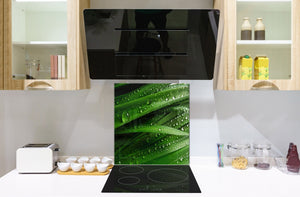 Kitchen & Bathroom splashback BS17 Green grass and cereals Series Leaf Drops Of Water 1