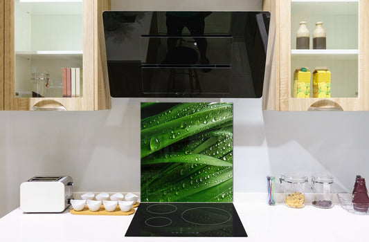 Kitchen & Bathroom splashback BS17 Green grass and cereals Series Leaf Drops Of Water 1