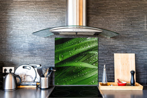 Rückwand aus gehärtetem Glas für Kochfeld – Glasauftankung – Rückwand für Küchenspüle BS17 Serie grünes Gras und Getreide:  Leaf Drops Of Water 1