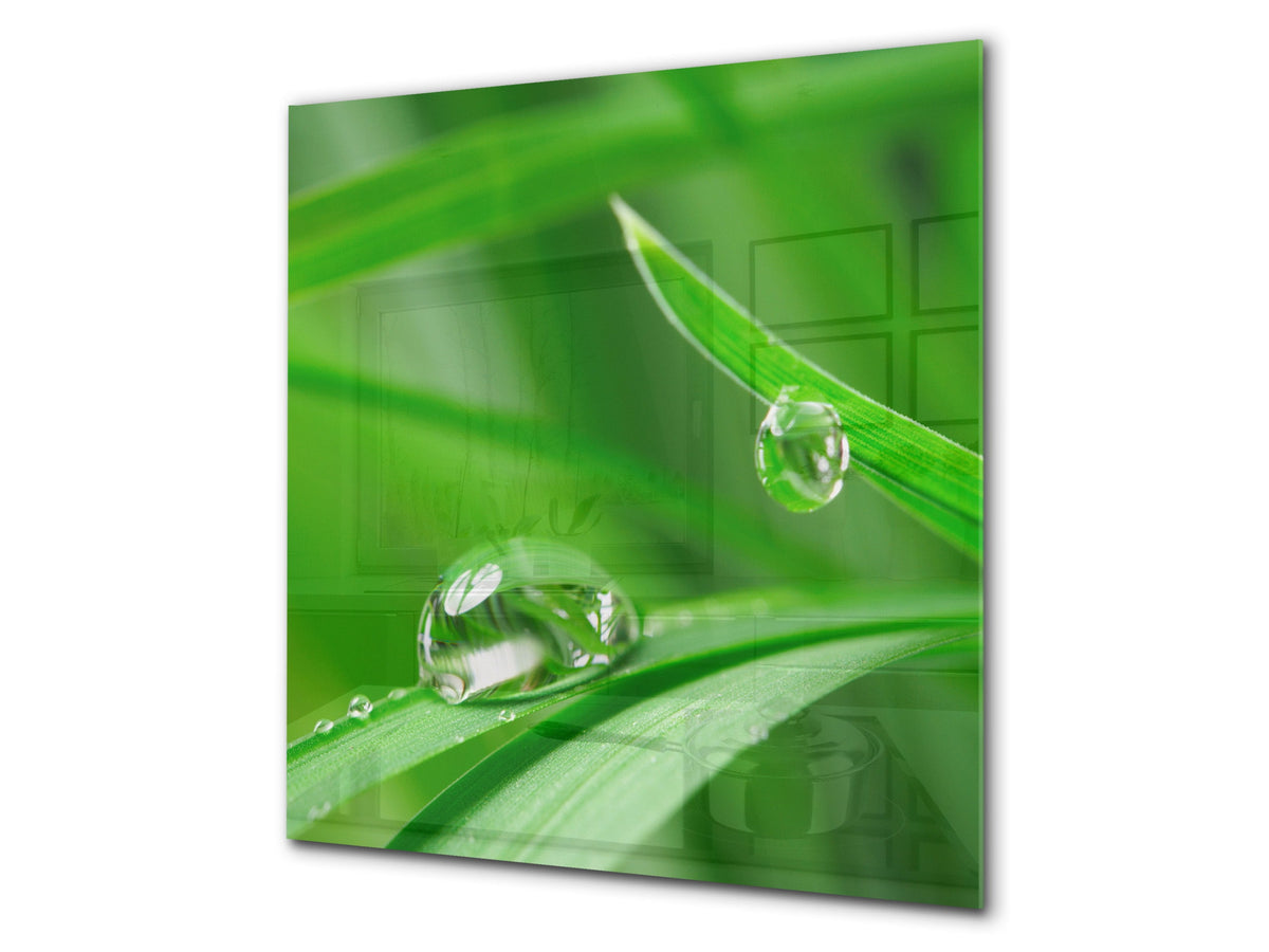 Kitchen & Bathroom splashback BS17 Green grass and cereals Series Leaf Drops Of Water 2