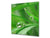 Rückwand aus gehärtetem Glas für Kochfeld – Glasauftankung – Rückwand für Küchenspüle BS17 Serie grünes Gras und Getreide:  Leaf Drops Of Water 2