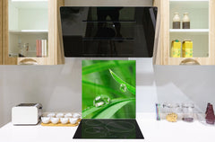 Kitchen & Bathroom splashback BS17 Green grass and cereals Series Leaf Drops Of Water 2