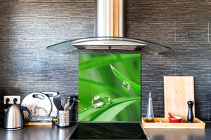 Pannello in vetro rinforzato – Paraspruzzi cucina e bagno BS17 Serie erba verde e cereali: Foglia gocce d'acqua 2