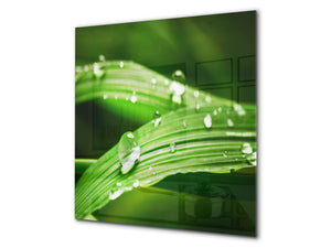 Kitchen & Bathroom splashback BS17 Green grass and cereals Series Leaf Drops Of Water 3