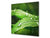 Pannello in vetro rinforzato – Paraspruzzi cucina e bagno BS17 Serie erba verde e cereali: Foglia gocce d'acqua 3
