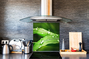 Rückwand aus gehärtetem Glas für Kochfeld – Glasauftankung – Rückwand für Küchenspüle BS17 Serie grünes Gras und Getreide:  Leaf Drops Of Water 3