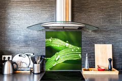 Kitchen & Bathroom splashback BS17 Green grass and cereals Series Leaf Drops Of Water 3