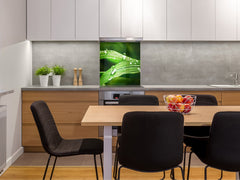 Kitchen & Bathroom splashback BS17 Green grass and cereals Series Leaf Drops Of Water 3