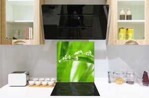 Fond en verre renforcé – Antiprojections en verre – Antiéclaboussures cuisine e salle de bain BS17 Série herbe verte et céréales: Gouttes de feuilles d'eau 4