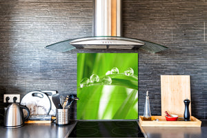 Pannello in vetro rinforzato – Paraspruzzi cucina e bagno BS17 Serie erba verde e cereali: Foglia gocce d'acqua 4