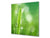 Pannello in vetro rinforzato – Paraspruzzi cucina e bagno BS17 Serie erba verde e cereali: Foglia gocce d'acqua 5