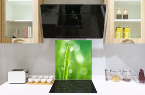 Fond en verre renforcé – Antiprojections en verre – Antiéclaboussures cuisine e salle de bain BS17 Série herbe verte et céréales: Gouttes de feuilles d'eau 5