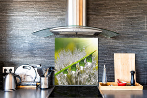 Kitchen & Bathroom splashback BS17 Green grass and cereals Series Dandelion Leaf