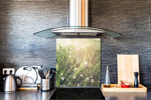 Rückwand aus gehärtetem Glas für Kochfeld – Glasauftankung – Rückwand für Küchenspüle BS17 Serie grünes Gras und Getreide: Leaf Green 1