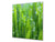 Pannello in vetro rinforzato – Paraspruzzi cucina e bagno BS17 Serie erba verde e cereali: Grass Leaf Green 2