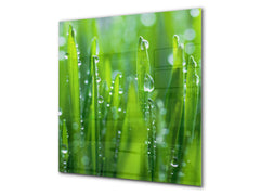 Kitchen & Bathroom splashback BS17 Green grass and cereals Series Grass Leaf Green 2