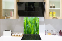 Kitchen & Bathroom splashback BS17 Green grass and cereals Series Grass Leaf Green 2