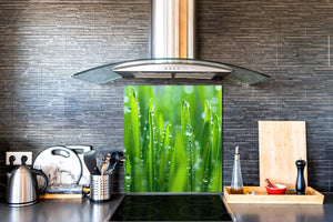 Rückwand aus gehärtetem Glas für Kochfeld – Glasauftankung – Rückwand für Küchenspüle BS17 Serie grünes Gras und Getreide: Leaf Green 2