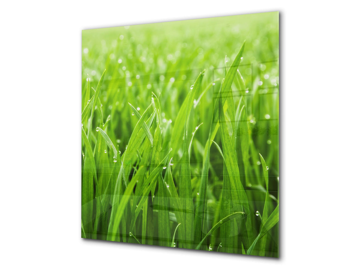 Kitchen & Bathroom splashback BS17 Green grass and cereals Series Grass Leaf Green 3