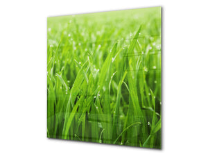 Rückwand aus gehärtetem Glas für Kochfeld – Glasauftankung – Rückwand für Küchenspüle BS17 Serie grünes Gras und Getreide: Leaf Green 3