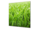 Kitchen & Bathroom splashback BS17 Green grass and cereals Series Grass Leaf Green 3