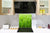 Rückwand aus gehärtetem Glas für Kochfeld – Glasauftankung – Rückwand für Küchenspüle BS17 Serie grünes Gras und Getreide: Leaf Green 3