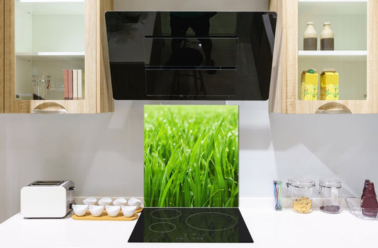 Kitchen & Bathroom splashback BS17 Green grass and cereals Series Grass Leaf Green 3