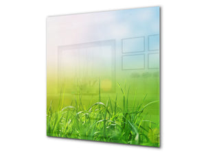 Kitchen & Bathroom splashback BS17 Green grass and cereals Series Grass Leaf Green 4
