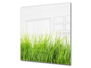 Protector antisalpicaduras baños y cocinas ; Serie hierba verde cereales BS17 Hoja de gotas de agua 5