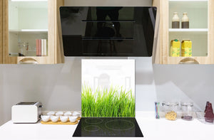 Pannello in vetro rinforzato – Paraspruzzi cucina e bagno BS17 Serie erba verde e cereali: Grass Leaf Green 5
