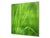 Pannello in vetro rinforzato – Paraspruzzi cucina e bagno BS17 Serie erba verde e cereali: Grass Leaf Green 7