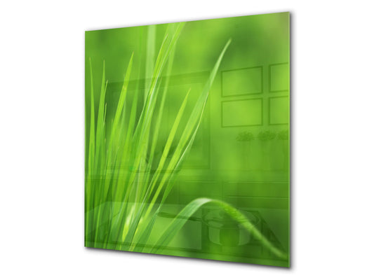 Kitchen & Bathroom splashback BS17 Green grass and cereals Series Grass Leaf Green 7